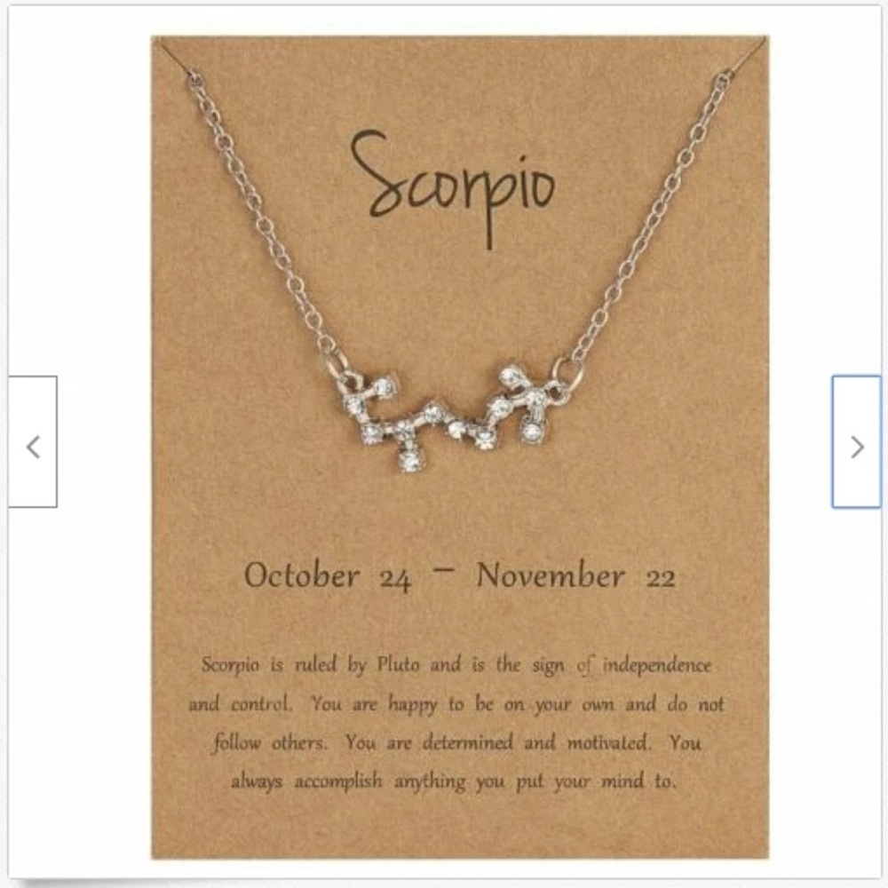 Scorpio Zodiac Silver Necklace